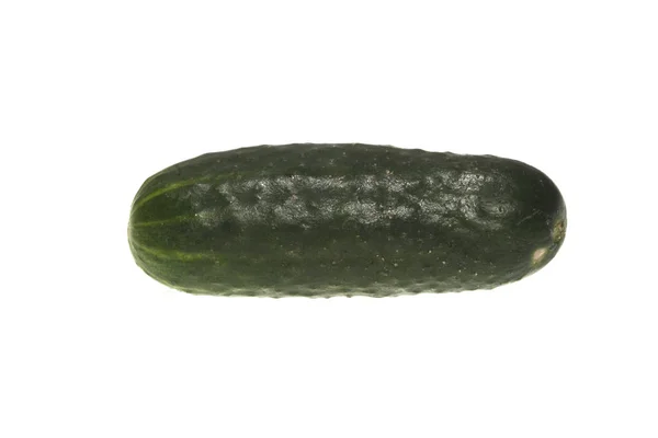 Cucumber isolated on white background — Stock Photo, Image