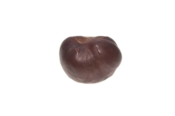 Chestnut isolated on white background — Stock Photo, Image
