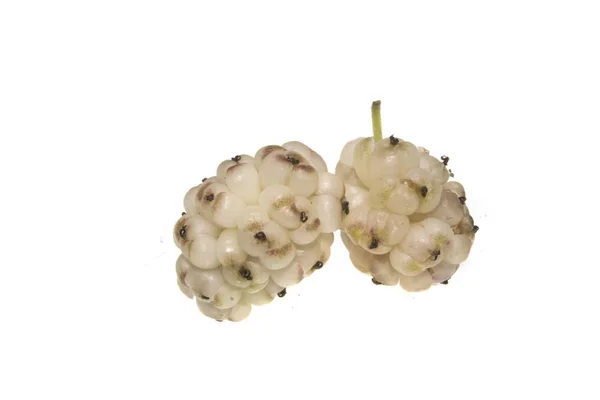 Mulberry izolované na bílém pozadí — Stock fotografie