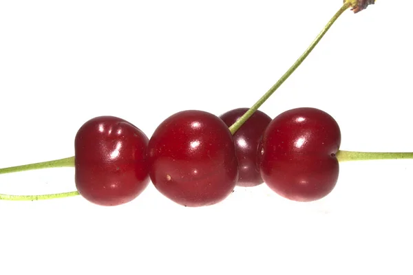 Cherry izolované na bílém pozadí — Stock fotografie