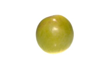 Kayısı beyaz arkaplanda izole edildi