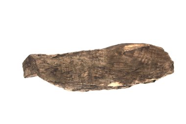 Beyaz arka plan üzerinde izole Şubesi