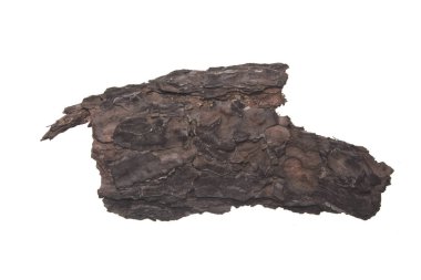 Beyaz arkaplanda ağaç kabuğu izole