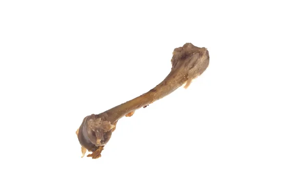 Bone isolated on white background — Stock Photo, Image