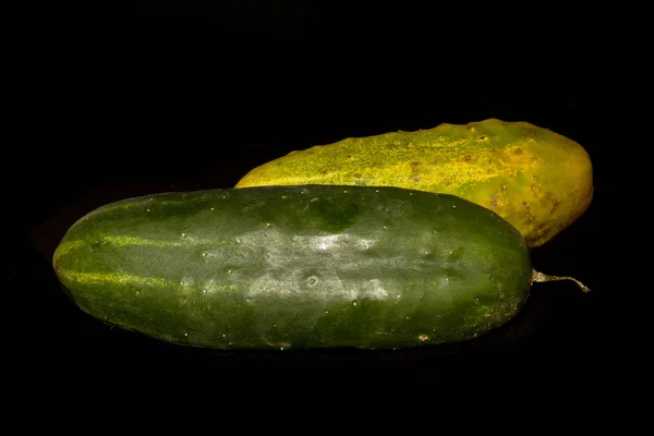 Pepino aislado sobre fondo negro — Foto de Stock