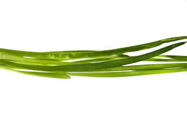 Beyaz arkaplanda soğan izole edildi