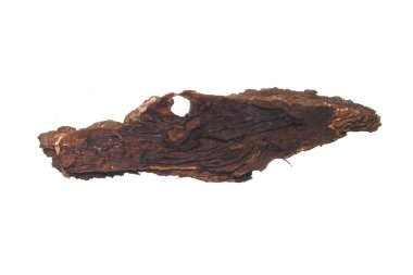 Beyaz arkaplanda ağaç kabuğu izole