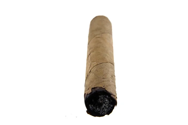 Cigar isolated on white background — Stock Photo, Image