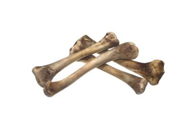 Kemikler beyaz arkaplanda izole