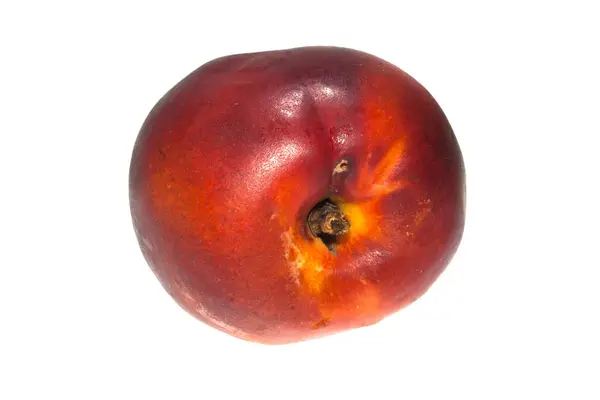 Peach diisolasi pada latar belakang putih — Stok Foto