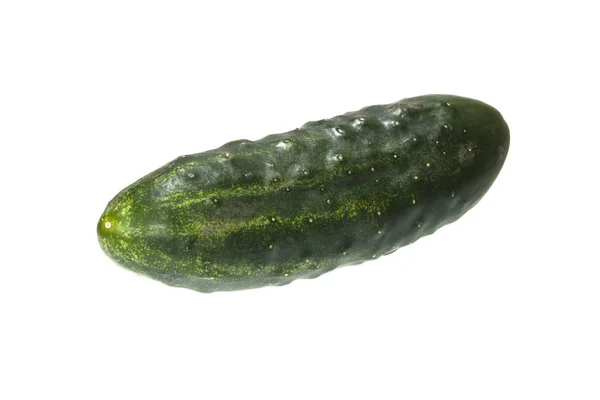 Cucumber isolated on white background — Stock Photo, Image