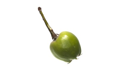 elma beyaz arkaplanda izole edildi