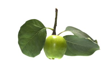 elma beyaz arkaplanda izole edildi