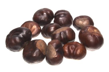 kestane rengi beyaz arkaplanda izole