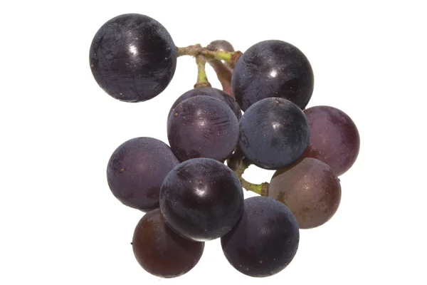 Uvas aisladas sobre fondo blanco — Foto de Stock