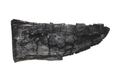 kömür beyaz arkaplanda izole edildi
