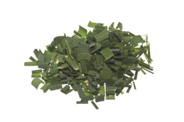 beyaz arkaplanda yeşil yapraklar izole