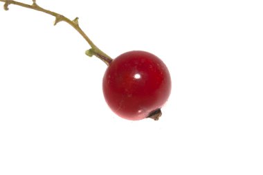 Frenk üzümü beyaz arkaplanda izole edildi