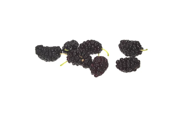 Mulberry isolated on white background — Stock Photo, Image