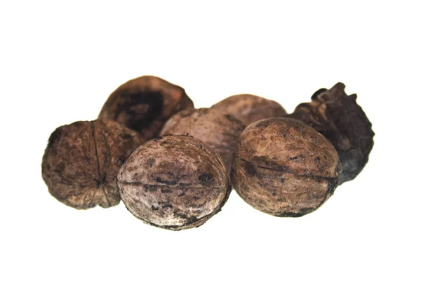 Kacang diisolasi pada latar belakang putih — Stok Foto