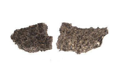 ezilmiş ayçiçeği tohumları beyaz arka planda izole