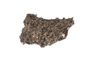 ezilmiş ayçiçeği tohumları beyaz arka planda izole