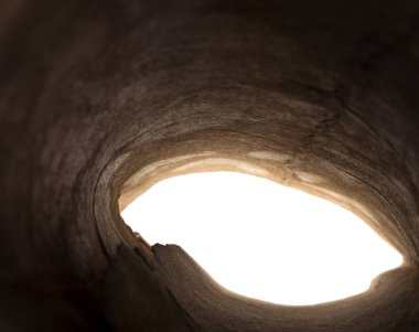 bükülmüş kağıt beyaz arkaplanda izole