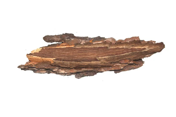 하얀 배경에 고립된 나무껍질 — 스톡 사진