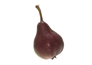 armut beyaz arkaplanda izole edildi