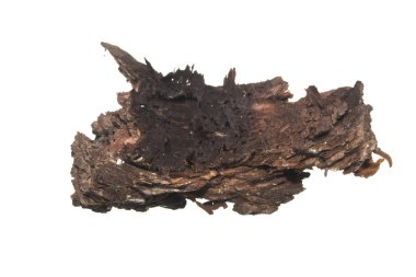 Beyaz arkaplanda ağaç kabuğu izole