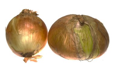 Beyaz arkaplanda soğan izole edildi