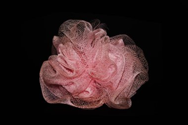 Lifah siyah bir arkaplanda izole edildi