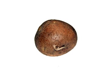 Beyaz arkaplanda izole edilmiş patates