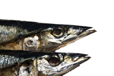 Beyaz arka planda izole edilmiş tütsülenmiş balık