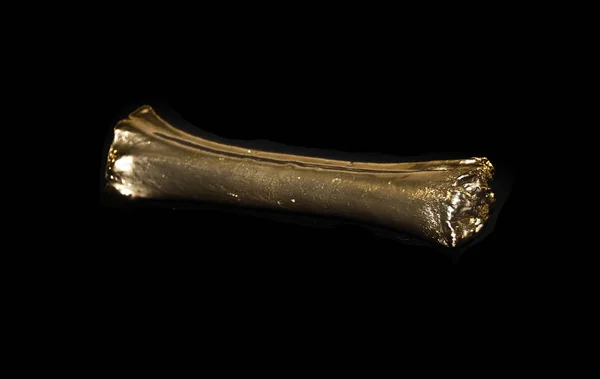 黒い背景に隔離された黄金の骨 — ストック写真