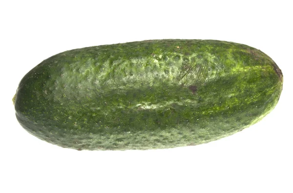 Pepino isolado no fundo branco — Fotografia de Stock