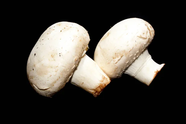 Mushrooms isolated on a black background — Stock Photo, Image