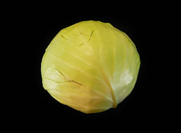 被黑色背景隔离的绿色卷心菜 — 图库照片