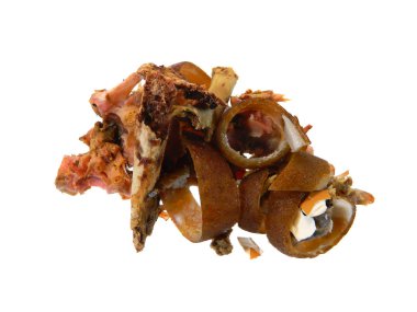 Beyaz arka plan üzerinde izole kemik