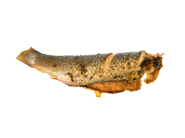 Gebratener Fisch isoliert auf weißem Hintergrund — Stockfoto