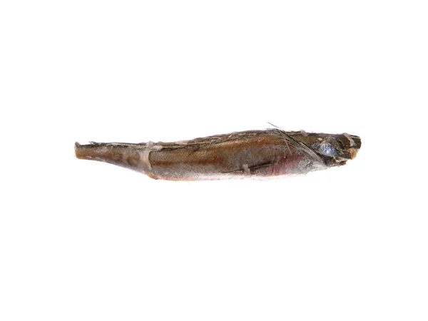 Ryby mrożone na białym tle — Zdjęcie stockowe