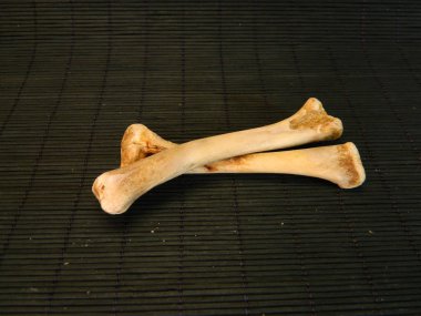Kemikler siyah arkaplanda izole