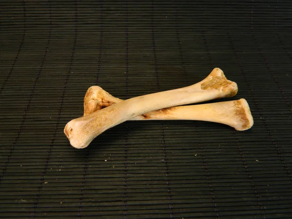 검은 배경에 고립된 뼈들 — 스톡 사진