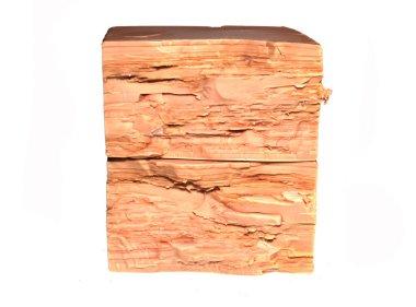 Maya siyah arkaplanda izole edildi