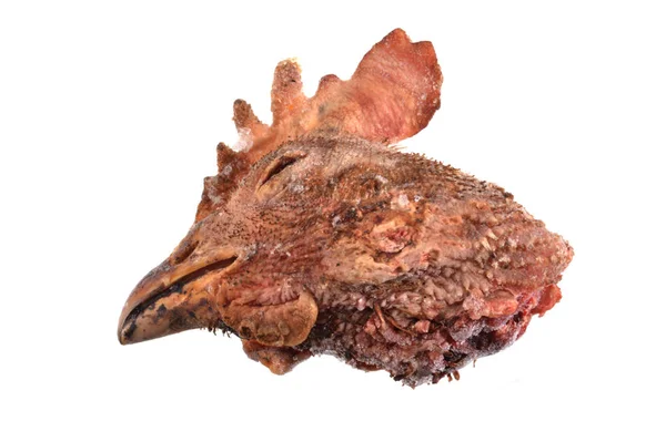 Donmuş tavuk kafası beyaz arka planda izole edilmiş