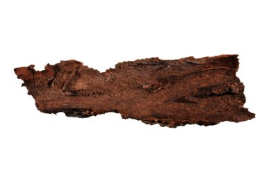 Beyaz arkaplanda ağaç kabuğu izole