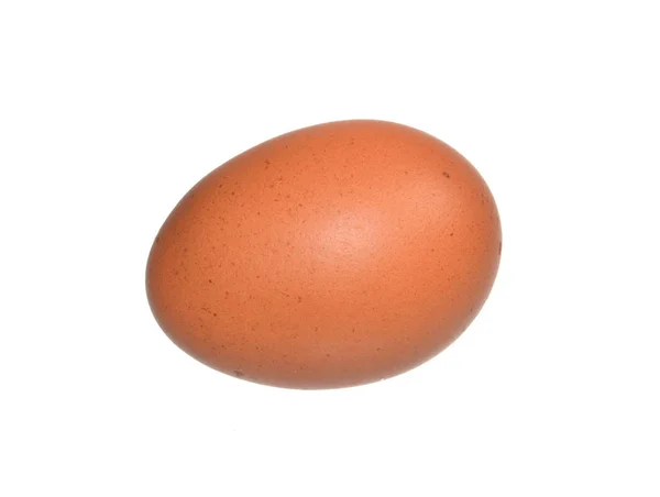 Uovo isolato su sfondo bianco — Foto Stock