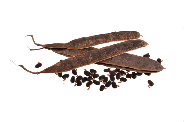 Beyaz arka plan üzerinde izole akasya tohumları