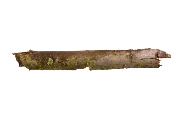 Beyaz arkaplanda ağaç kabuğu izole — Stok fotoğraf