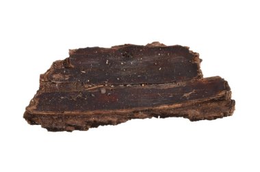 Beyaz arkaplanda ağaç kabuğu izole